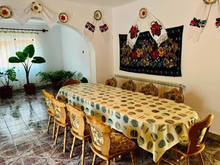 Casa Anca 호텔 Sighetu Marmaţiei 외부 사진