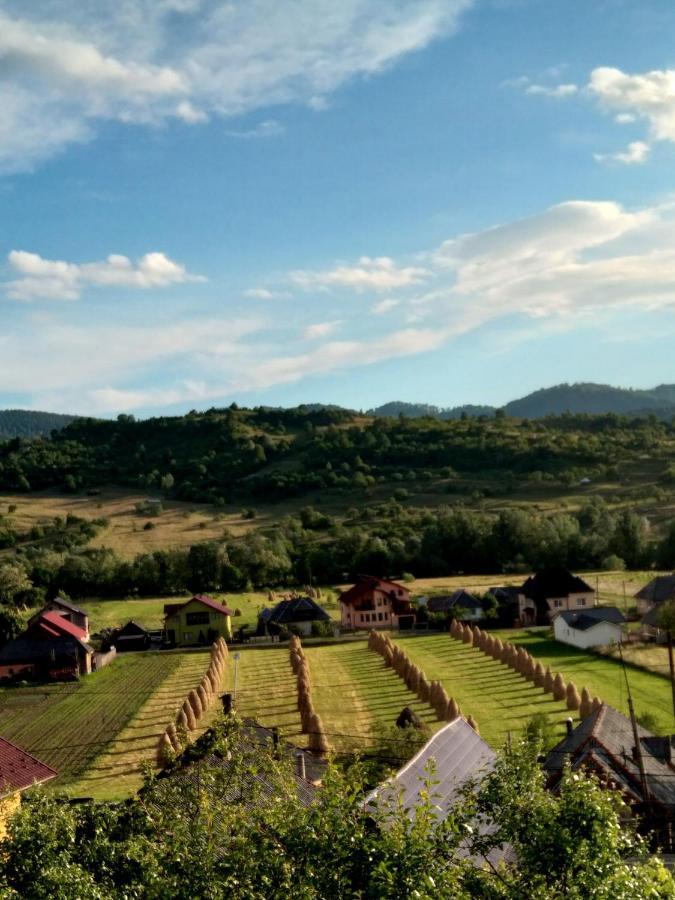 Casa Anca 호텔 Sighetu Marmaţiei 외부 사진