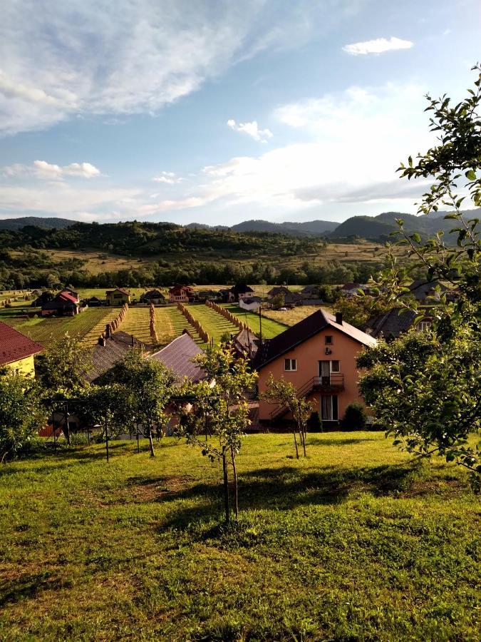 Casa Anca 호텔 Sighetu Marmaţiei 외부 사진