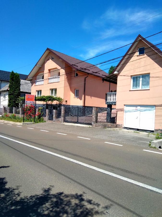 Casa Anca 호텔 Sighetu Marmaţiei 외부 사진